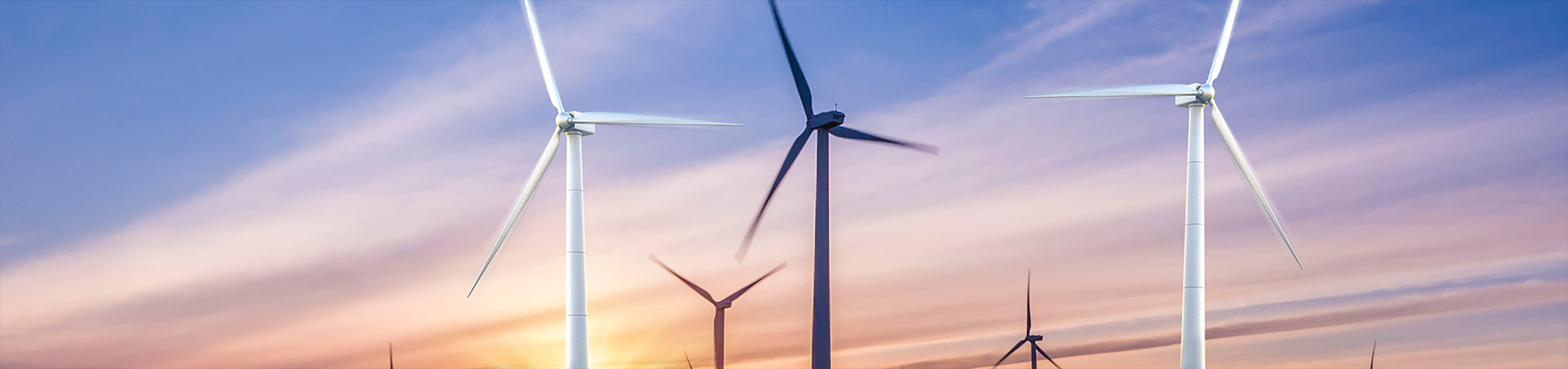 BG大游·(集团)视讯官方网站